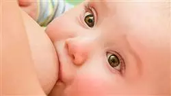 ##IMAGE##
