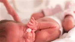 ##IMAGE##