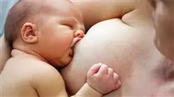 ##IMAGE##