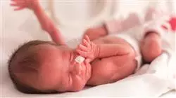 ##IMAGE##