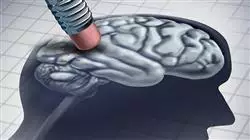 ##IMAGE##