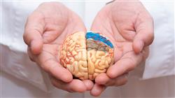 5 neurorrehabilitacion logopedico enfermeria portada