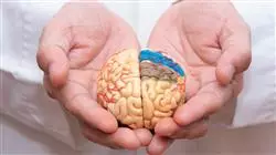 ##IMAGE##