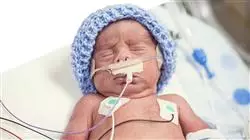 ##IMAGE##