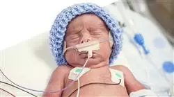 ##IMAGE##
