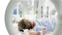 ##IMAGE##