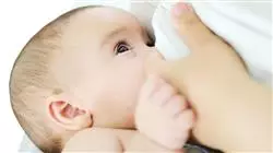 ##IMAGE##
