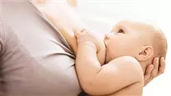 ##IMAGE##