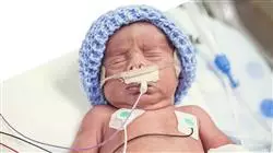 ##IMAGE##