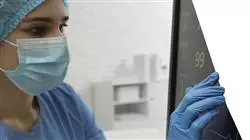 ##IMAGE##