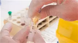 ##IMAGE##