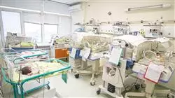 especializacion cuidados enfermeria paciente pediatrico patologia hematologica maligna