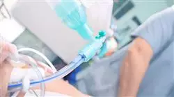##IMAGE##