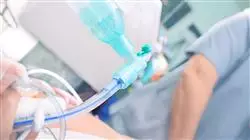 ##IMAGE##