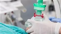 ##IMAGE##