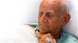 ##IMAGE##