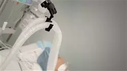 ##IMAGE##