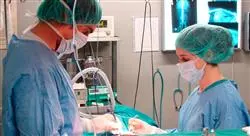 curso cirugia general enfermeria 4