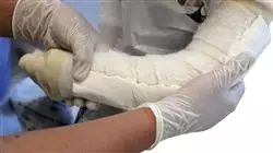##IMAGE##