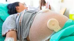 ##IMAGE##