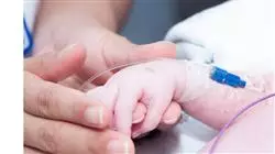##IMAGE##