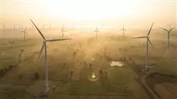 ##IMAGE##