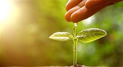 diplomado cooperación y derecho ambiental para enfermería