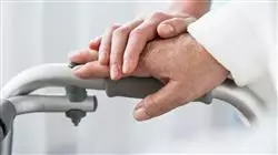 ##IMAGE##
