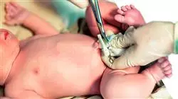 ##IMAGE##