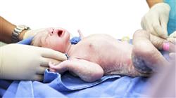 mejor maestria urgencias obstetricas neonatales enfermeria