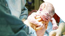 cursos urgencias obstetricas parto postparto enfermeria