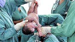 experto urgencias obstetricas parto postparto enfermeria