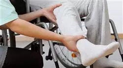 ##IMAGE##