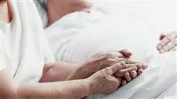 ##IMAGE##