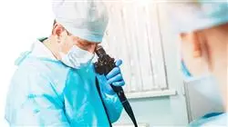 practicas externas enfermeria servicio aparato digestivo