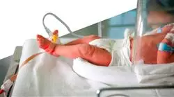 ##IMAGE##