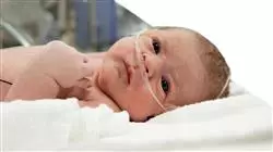 ##IMAGE##