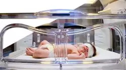 diplomado online urgencias neonatales matronas
