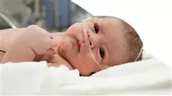 diplomado urgencias neonatales matronas