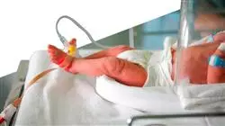##IMAGE##