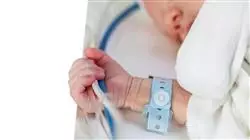 ##IMAGE##