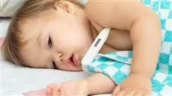##IMAGE##
