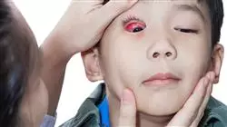 ##IMAGE##