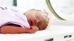 ##IMAGE##