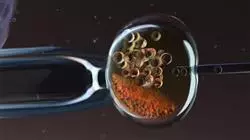 ##IMAGE##