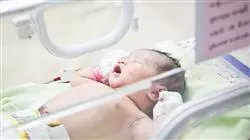 ##IMAGE##
