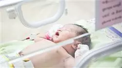 ##IMAGE##