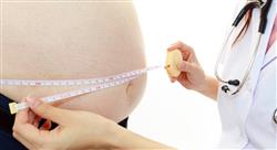 curso terapia nutricional