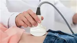 ##IMAGE##