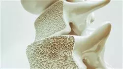 ##IMAGE##